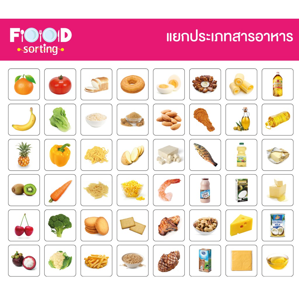 เกมจัดกลุ่ม แยกประเภท แยกขยะ แยกรูปร่าง แยกอาหาร แยกพาหนะ ซองกันน้ำ พกพาสะดวก Sorting game KP - รูปที่ 6