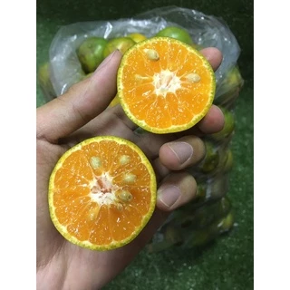 🍊ส้มสายน้ำผึ้ง [👍ใช้คั้นน้ำ 💲เบอร์ลาย] ขอคนเข้าใจส้มเบอร์ลาย - ส้มสำหรับคั้นน้ำขาย