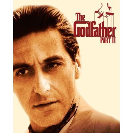 Godfather, The Part II เดอะ ก็อดฟาเธอร์ ภาค 2 (มีซับไทย) (DVD) ดีวีดี