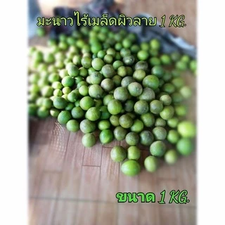 มะนาวไร้เมล็ด 1กิโลกรัม คั้นน้ำ ผิวลายน้ำเยอะ ราคาสุดคุ้ม Lemon without seeds, juiced with patterned balls