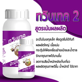 ทวินเทค อะมิโน 2 เร่งผลใหญ่ เพิ่มความหวาน ขนาด เพิ่มผลผลิต