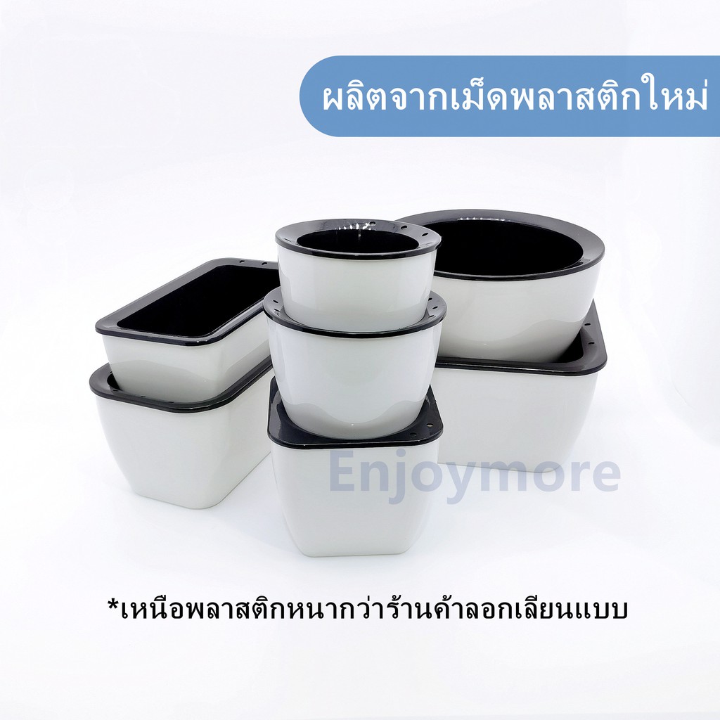 กระถาง กระถางต้นไม้​ ปลูกแคคตัส แบบ​เก็บ​น้ำ​ได้​ รด​น้ำ​อัตโนมัติ​