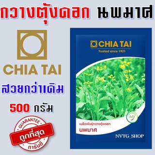 กวางตุ้ง นพมาศ ขนาด 500 กรัม ต้นใหญ่ น้ำหนักดี เจียไต๋ กวางตุ้งดอก เมล็ดพันธ์ุกวางตุ้งดอก เมล็ดกวางตุ้งดอก