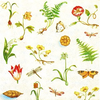 Pladao Napkin ภาพสวน Botanical Study สวนพฤกษศาสตร์ พื้นครีม กระดาษ แนพกิ้น สำหรับงานศิลปะ เดคูพาจ decoupage ขนาด L 33x33