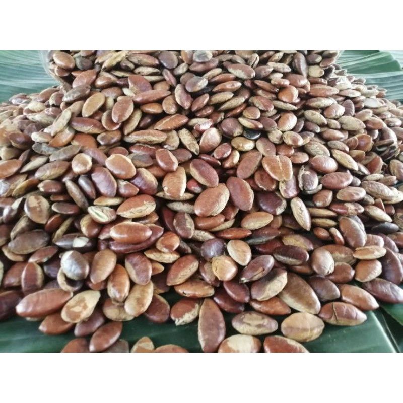 กระบกคั่วเกรดเอ หอม มัน อร่อย🥜🌰