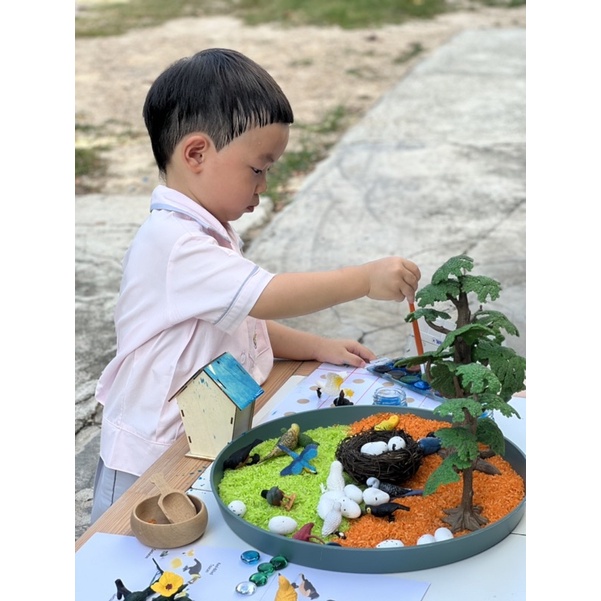 Tree model Sensory play โมเดลต้นไม้ โมเดลดอกไม้ - pakamonchuangchoowong ...