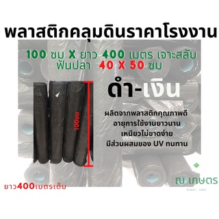 พลาสติกคลุมดิน 1x400 เมตร เจาะรูสลับฟันปลา 40 x 50