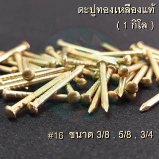 ตะปูทองเหลือง แท้เบอร์16 (1กิโล) ขนาด3/8,1/2,5/8,3/4,1นิ้ว