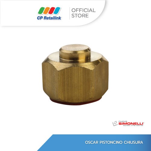 (30005576) Nuova Simonelli นูโอว่า ซิโมเนลลี่ อะไหล่เครื่องชงกาแฟ Oscar Pistoncino Chiusura