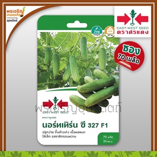 เมล็ดพันธุ์แตงกวา แตงกวานอร์ทเทิร์น ซี 327 F1 (แบบซอง) เมล็ดแตงกวาศรแดง แตงกวาลูกผสม เมล็ดพันธุ์ผักสวนครัว ตราศรแดง