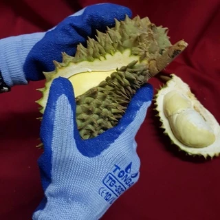 ถุงมือปอกทุเรียน Glovesใส่สบาย 1คู่ ป้องกันลื่นและการบาด ไร้ตะเข็บ ผิวขรุขระ ช่วยให้ผู้ใช้จับได้ถนัด กระชับ เหนียวและหนา