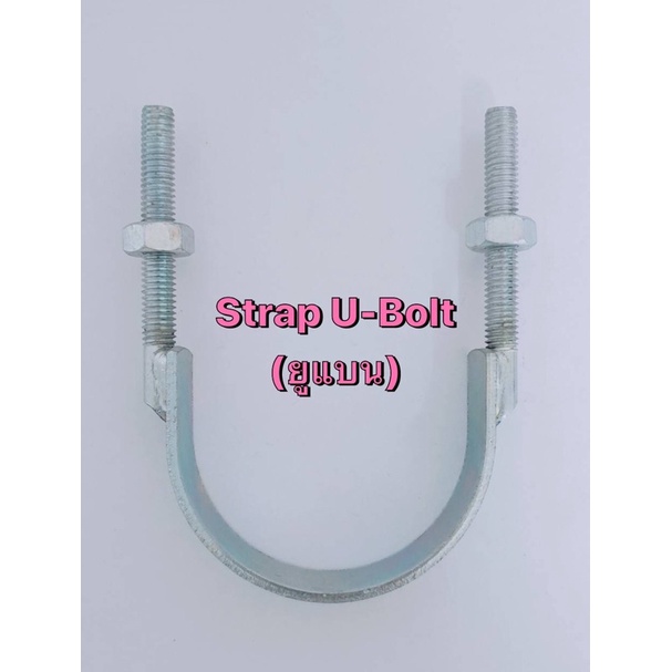 Strap U-Bolt (ยูแบน)