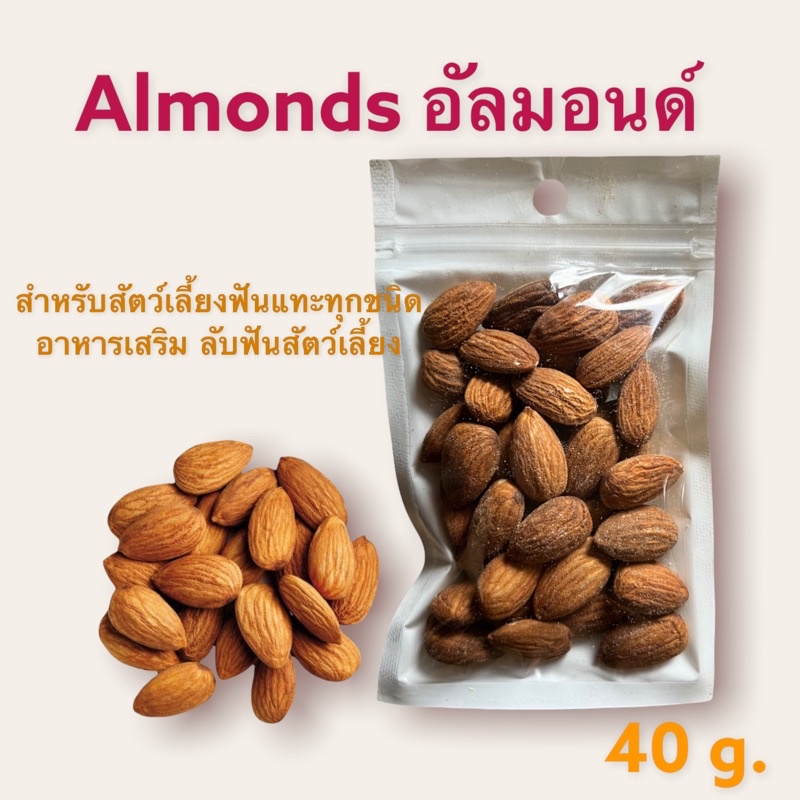 [B2-6] Almonds อัลมอนด์ อบธรรมชาติ สำหรับสัตว์เลี้ยงฟันแทะทุกชนิด อาหารเสริม ขนมสัตว์เลี้ยง ขนาด 40 g.