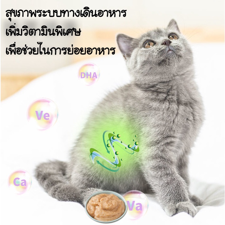 ขนมแมวเลีย Cat Food คัดสรรคุณภาพที่น้องแมวชอบ แสนอร่อย มี 3รสชาติ พร้อมส่ง จากไทย