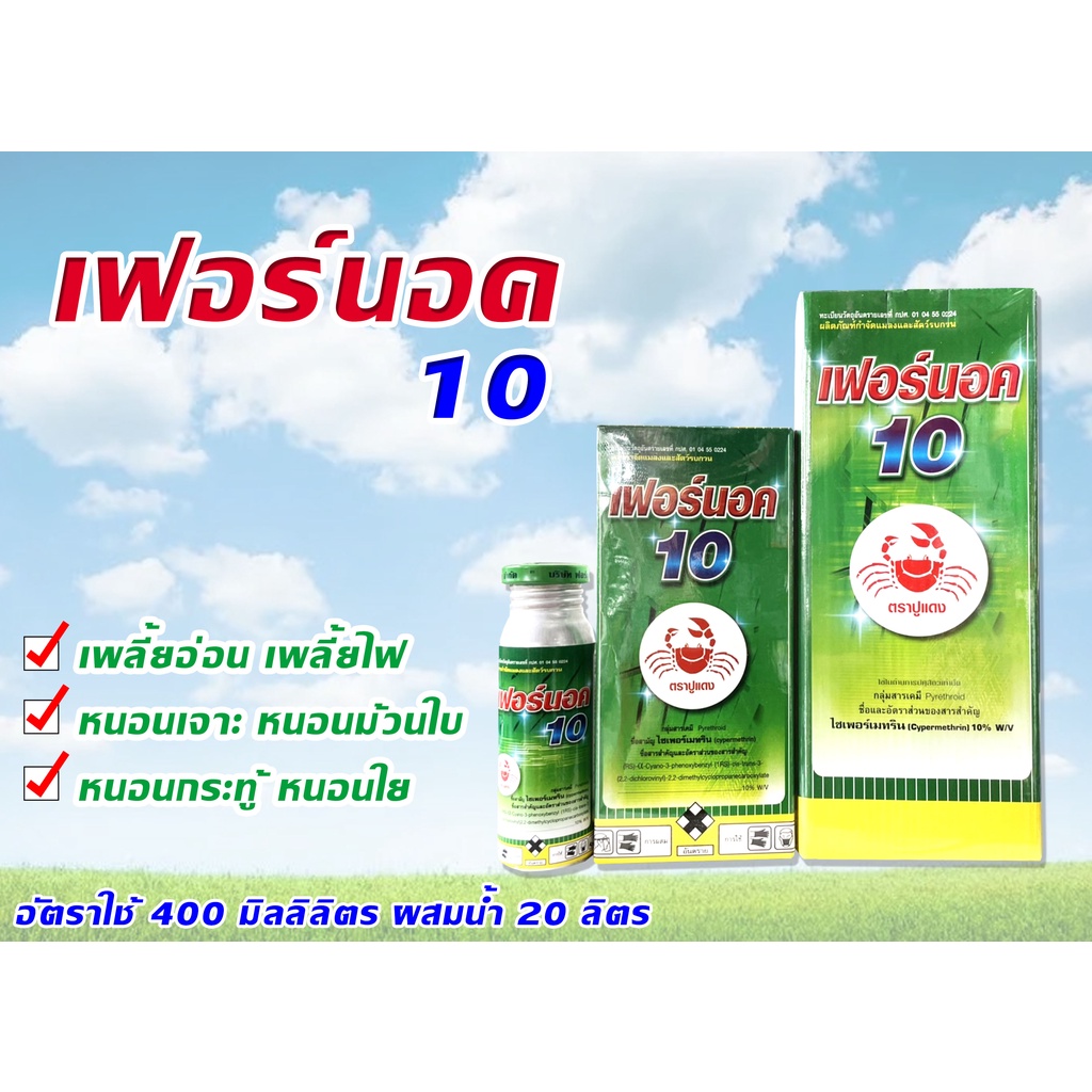 เฟอร์นอค 10 กำจัดแมลงคลาน แมลงสาบ แมลงวัน มด ยุง หนอนหนังเหนียว หนอนกอข้าว มีหลายขนาดให้เลือก
