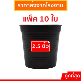 กระถางต้นไม้พลาสติก
 กระถางพลาสติก
 กระถางปลูกต้นไม้ 10 ชิ้น กระถางดำ สีดำ 2.5 นิ้ว กระบองเพชร