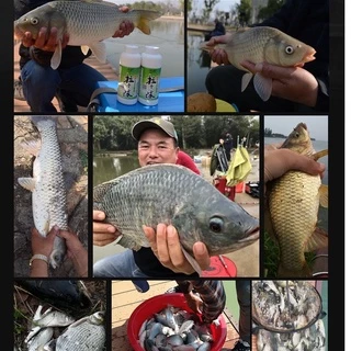 เหยื่อตกปลา สูตร 9933+ วิตามิน / +เดือนแดง / +กุ้งแดง / +ตับไก่ เร่งกิน กระตุ้นการกินของปลา
