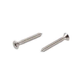 อุปกรณ์ยึดติด สกรูเกลียวปล่อย TF 8X1-1/4 นิ้ว 25 ตัว Screws, Nuts &amp; Washers