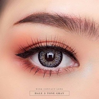 (2) Hale 3 Tone Gray / Hale3Tone Gray บิ๊กอาย สีเทา ทรีโทน เทา Wink Contact Lens ค่าสายตา สายตาสั้น Halen Halen3tone