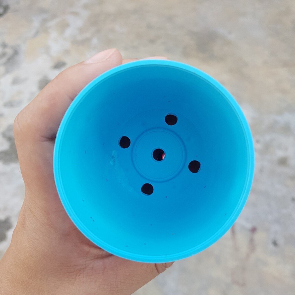 มุมมอง 2