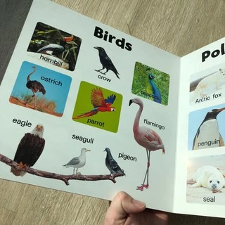 หนังสือบอร์ดบุ๊ค board book คำศัพท์ ภาพจริง กระดาษหนา ฉีกไม่ขาด 9 หมวด