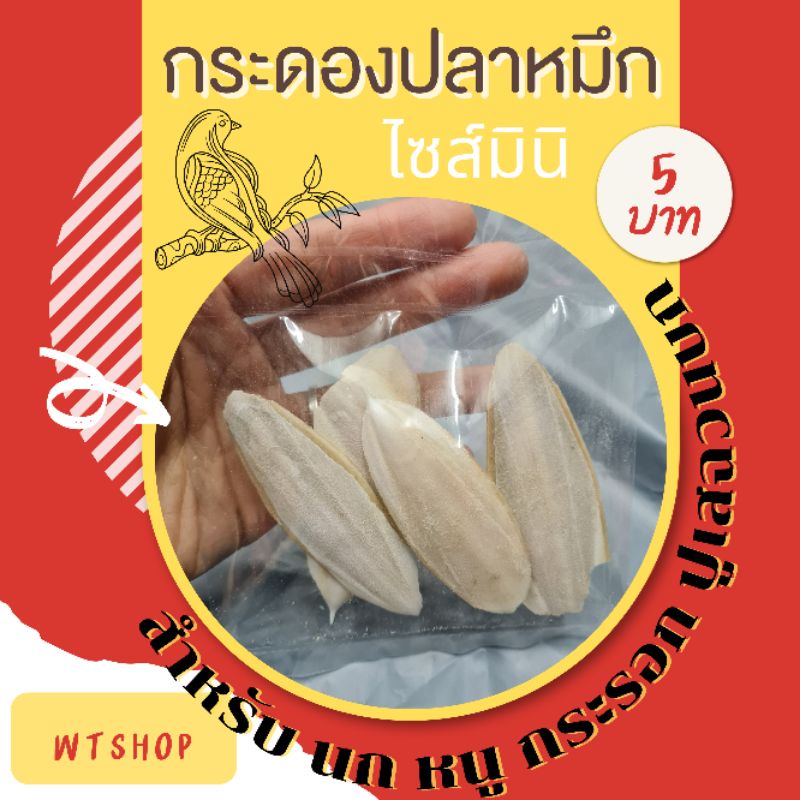 กระดองปลาหมึก ไซส์จิ๋วมินิ คุคิ กระดองหมึกไม่ฟอกขาว แคลเซียมนก หนูกระรอก อาหารปูเสฉวนบก (ไซ์จิ๋วมินิ5ชิ้น)