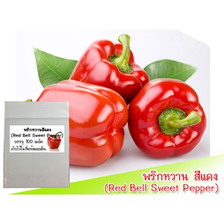 เมล็ดพัธุ์พริกหวาน สีแดง (Red Bell Sweet Pepper) 20 เมล็ด เมล็ดพริก เมล็ดพริกหวาน พริกระฆ้ง ปลูกพริกหวาน ปลูกผักสวนครัว