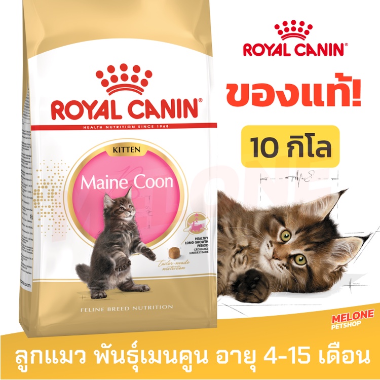 Royal Canin Maine Coon Kitten รอยัลคานิน อาหารลูกแมว พันธุ์เมนคูน ลูกแมว อายุ 4-15 เดือน 10kg