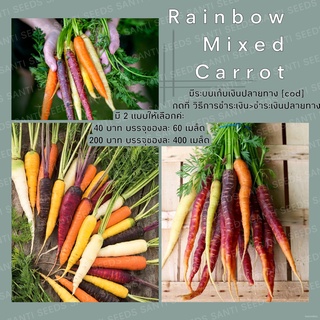 เมล็ดอวบอ้วน100%เมล็ดพันธุ์ แครอทคละสี 400เมล็ด Rainbow Mixed Carrot Seed เมล็ดพันธุ์แท้100% นำเข้าจากต่างประเทศ ปลูกผัก