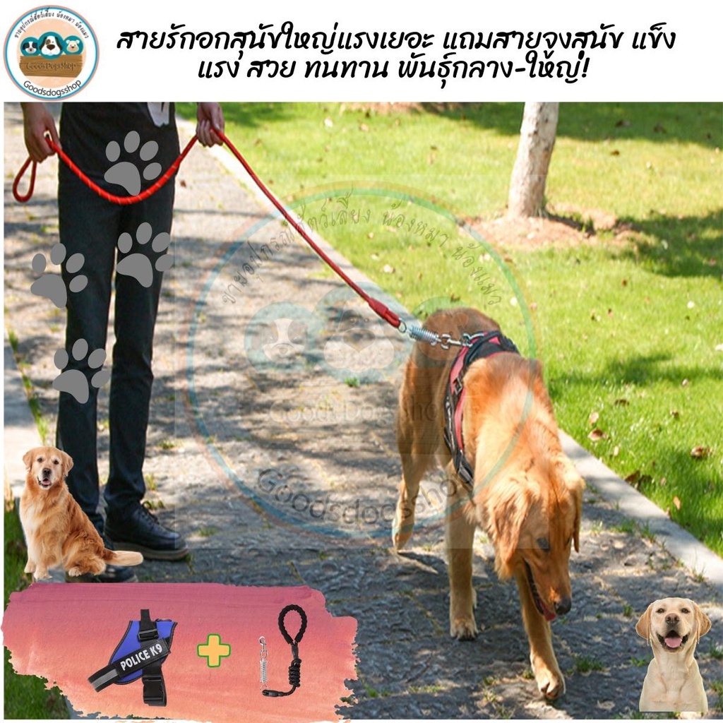 [🔥พร้อมส่ง]สายรัดอก สุนัข บวกสายจูงสปริง 🐶K9 ปรับขนาดได้ มีแถบสะท้อนแสง แข็งแรงยืดหยุ่น สายจูงหมา Go