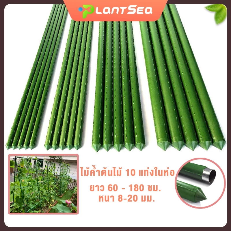 10 แท่งในห่อ ไม้ค้ำยันต้นไม้ 60-150 ซม. หนา 8-20 มม. หลักไม้ค้ำ เสามะเขือเทศ หลักไม้เลื้อย ค้างต้นไม้ ซุ้มต้นไม้ ค้างผั
