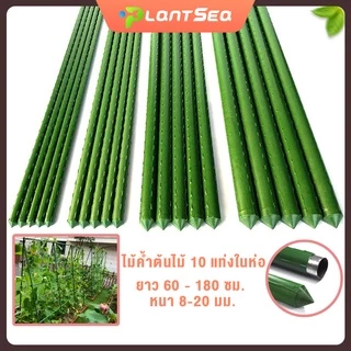 10 แท่งในห่อ ไม้ค้ำยันต้นไม้ 60-150 ซม. หนา 8-20 มม. หลักไม้ค้ำ เสามะเขือเทศ หลักไม้เลื้อย ค้างต้นไม้ ซุ้มต้นไม้ ค้างผั