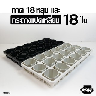 Okay plas set ถาด18 หลุม ขนาด 22 นิ้ว + กระถางแปดเหลี่ยม 3 นิ้ว 18 ใบ