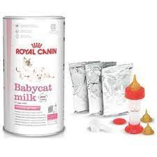 Royal Canin Babycat Milk (Exp.08/2025) ขนาด300กรัม นมผงทดแทนนมแม่ สำหรับลูกแมวแรกเกิด-หย่านม