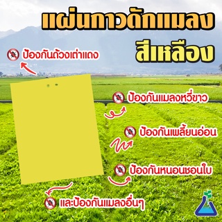 แผ่นกาวดักแมลง (สีเหลือง) 20 x 25 ซม. 1 แผ่น Yellow Sticky Trap 20 x 25 cms 1 pcs