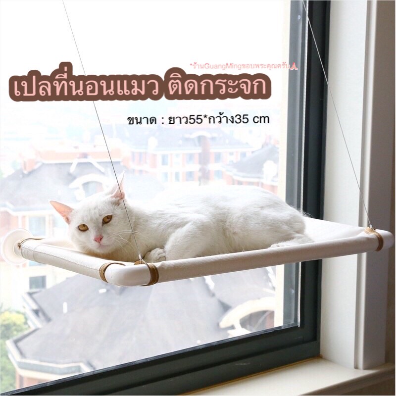 [ ลด15% ขั้นต่ำ 499 code:  PTPDMGUA ] เปลแมวติดกระจก ที่นอนแมวติดกระจก เปลสำหรับแมว (พร้อมส่ง)