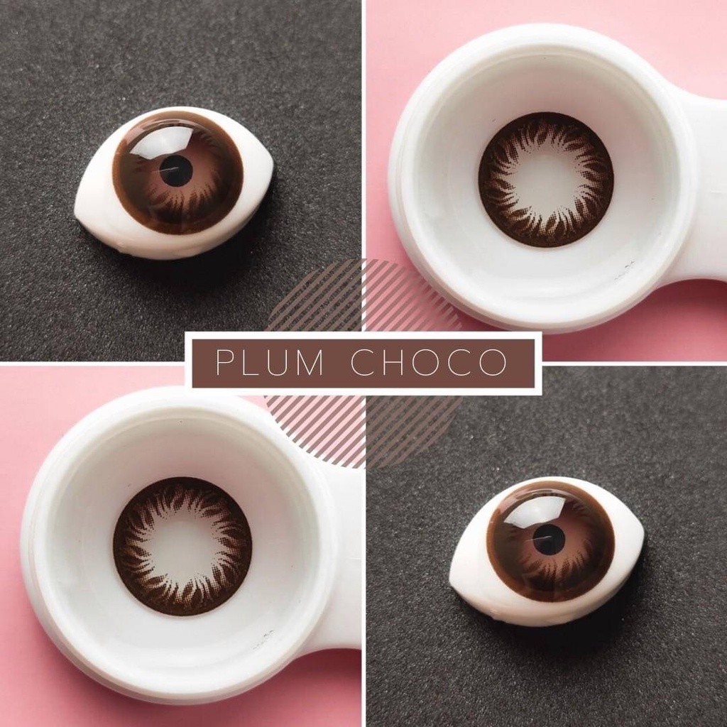 💜 PLUM Choco Brown บิ๊กอาย สีช็อคโก้ สีน้ำตาล แบ๊ว ตาโต Dream Color1 Contact Lens Bigeyes คอนแทคเลนส์ สายตาสั้น