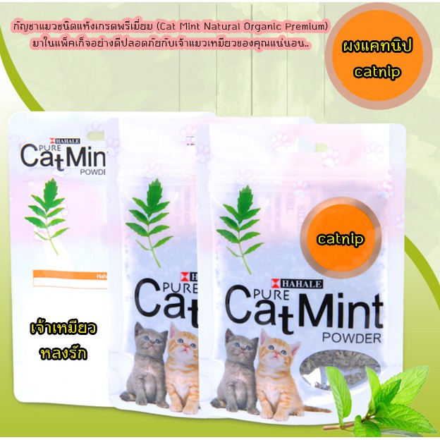 AL-021 ผงแคทนิป กัญชาแมว Catnip สมุนไพรแมว แคทนิป แคตนิป ราคาถูก 5กรัม