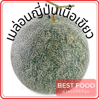 เมล่อนญี่ปุ่นเนื้อเขียว Japanese Green Melon