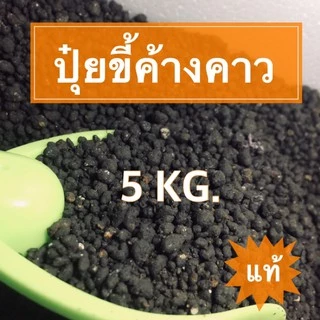 ปุ๋ยขี้ค้างคาวกินแมลง แตกยอดสวย โตไวกว่าเดิม3เท่า