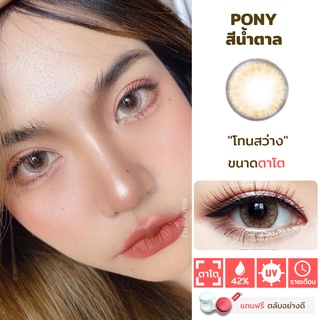 ไม่แถมตลับ Pony Brown (ตาโต) คอนแทคเลนส์ Wink