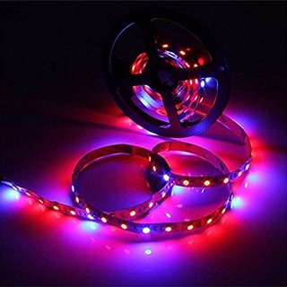 ไฟ LED สำหรับปลูกต้นไม้  High Quality SMD5050 Plant Growth LED Strip