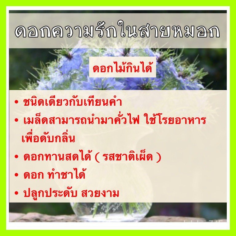 My Image 46