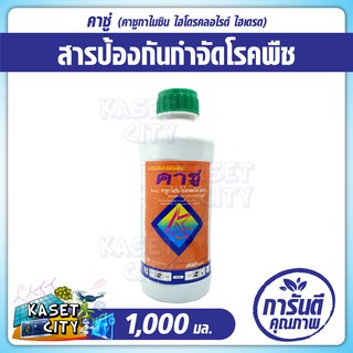 คาซู่ 1,000 ml. ป้องกันกำจัดโรคใบไหม้ และโรคไหม้คอรวง ในข้าว ที่มีสาเหตุจากเชื้อรา ปุ๋ยเคมี ปุ๋ยยา