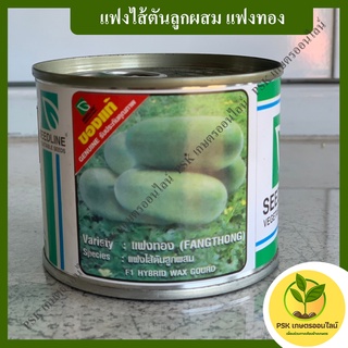 แฟงไส้ตันลูกผสม แฟงทอง 50 กรัม เมล็ดพันธุ์พืช (PSK เกษตรออนไลน์)