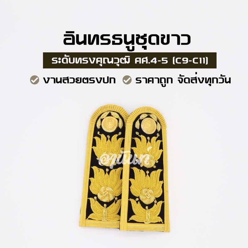 อินทรธนูข้าราชการ อินทรธนูชุดขาว บ่าช่อชัยพฤษ์ ระดับเชี่ยวชาญ คศ.4-คศ.5 (C9-C11)