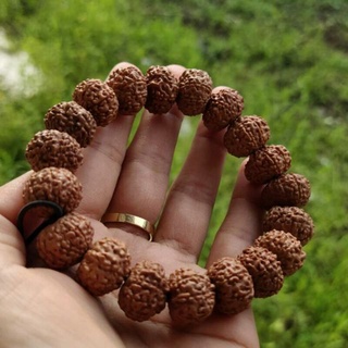 Jenitri Mukhi 7 สร้อยข้อมือ Rudraksha ของแท้