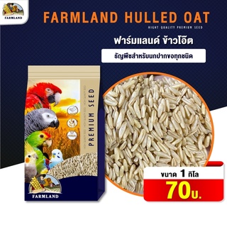 FarmLand Hulled oat อาหารนก ข้าวโอ๊ต ( ขนาด 1KG)