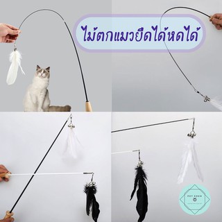 ไม้ตกแมวยืดได้หดได้ขนนก ของเล่นแมว ไม่ล่อแมว ไม่ตกแมว Teaser Wand, Cat Toy