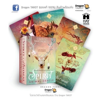 ไพ่ออราเคิล Spirit animal oracle, The (ของแท้ 100%) ไพ่แท้ สินค้าพร้อมส่ง ร้าน Dragon TAROT